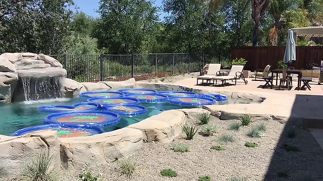 back yard pool in Roseville